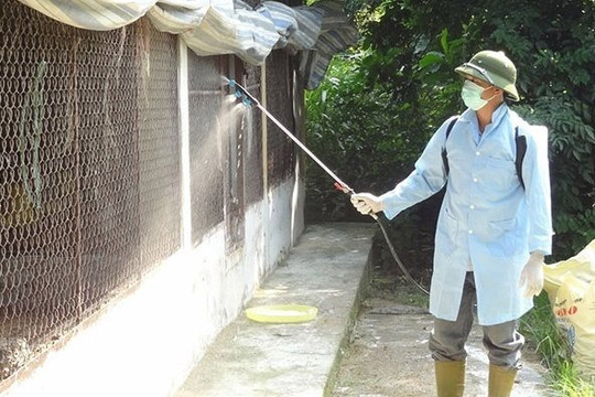 Thái Nguyên triển khai tổng vệ sinh khử trùng, tiêu độc môi trường