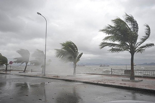 Biển Đông khả năng đón số lượng bão nhiều hơn trong năm 2024