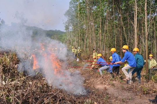 Sóc Trăng quyết liệt triển khai các giải pháp phòng, chống cháy rừng