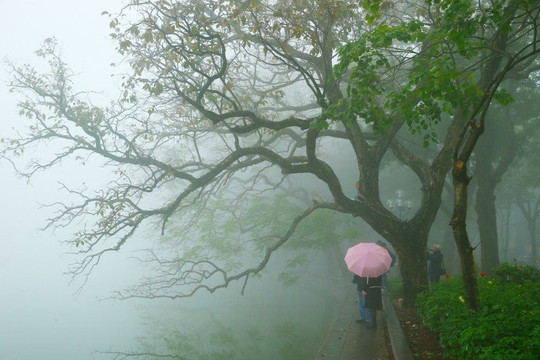 Dự báo thời tiết Hà Nội ngày 17/3: Nồm ẩm, mưa phùn, sương mù