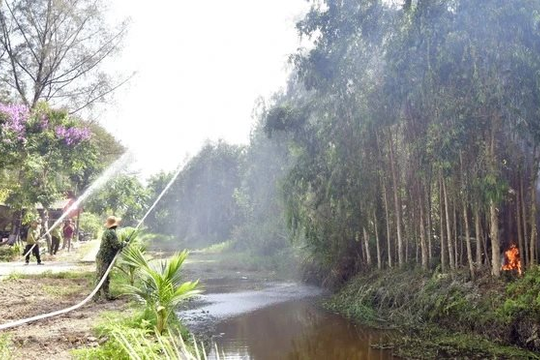 Gần 4.000 ha rừng ở Cà Mau có mức báo động cháy cực kỳ nguy hiểm