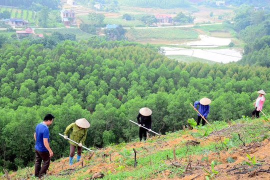 Hơn 764 tỷ đồng triển khai chương trình MTQG giảm nghèo bền vững tại Quảng Nam