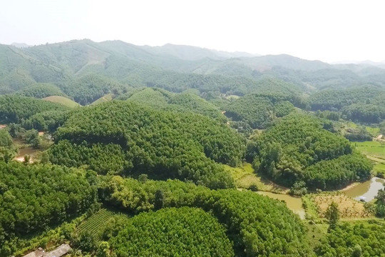 Quảng Trị: Bảo vệ và trồng rừng, giảm phát thải khí nhà kính