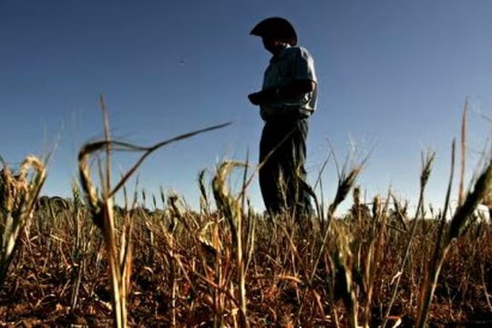 Hiện tượng nóng lên toàn cầu đe doạ đẩy giá lương thực tiếp tục tăng