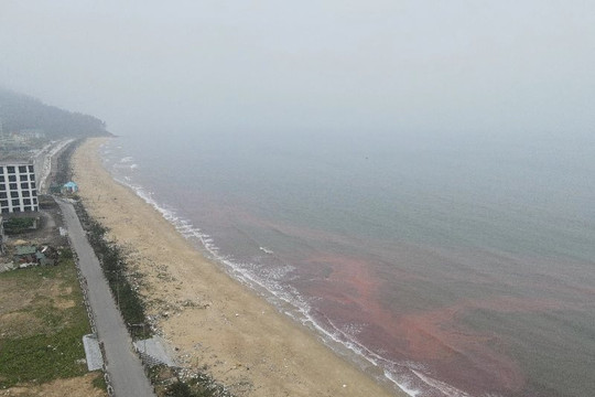 Nước biển ở Hà Tĩnh xuất hiện các vệt đỏ sẫm dài 3km