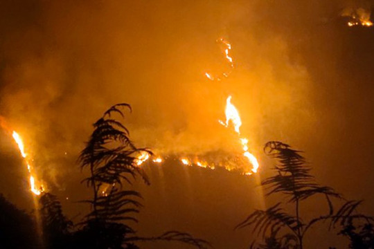 Nắng nóng kéo dài, cháy rừng liên tiếp xảy ra ở Mù Cang Chải, Yên Bái
