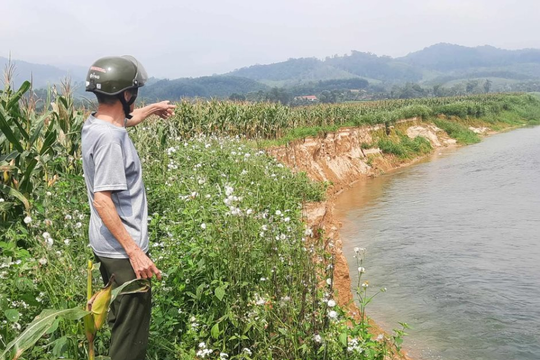Hà Tĩnh: Bờ sông Ngàn Phố sạt lở nghiêm trọng do dòng chảy thay đổi