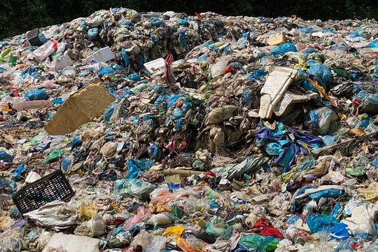 Chôn lấp rác là tác nhân chính gây biến đổi khí hậu