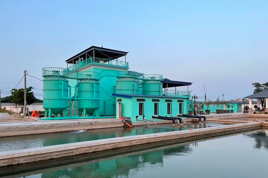 Hải Phòng sẽ thay thế nhà máy nước mini không đảm bảo chất lượng