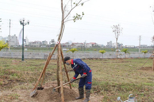 Tỷ lệ trồng rừng ở Bắc Giang  tăng hơn 30% so với cùng kỳ năm 2023