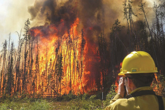 Hậu Giang cảnh báo nguy cơ cháy rừng lên cấp nguy hiểm