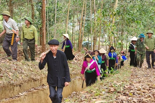 Điện Biên: Hơn 92 tỷ đồng chi trả dịch vụ môi trường rừng