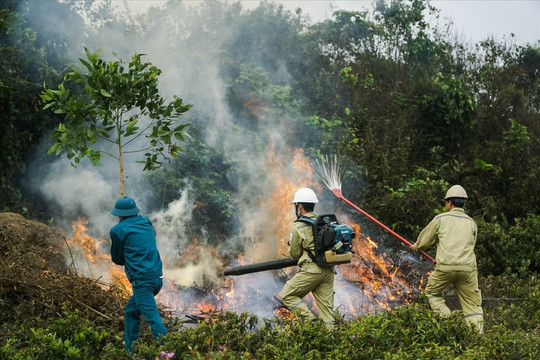 Thủ tướng Chính phủ chỉ đạo chủ động, tăng cường các biện pháp cấp bách phòng cháy, chữa cháy rừng
