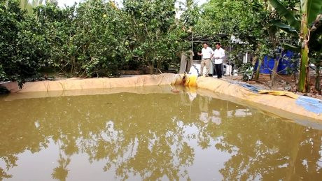 Vĩnh Long đưa giải pháp đảm bảo nước sinh hoạt vùng nông thôn