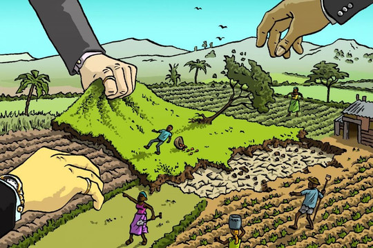 Quảng Nam: Xử phạt công ty chiếm dụng đất nông nghiệp 80 triệu đồng
