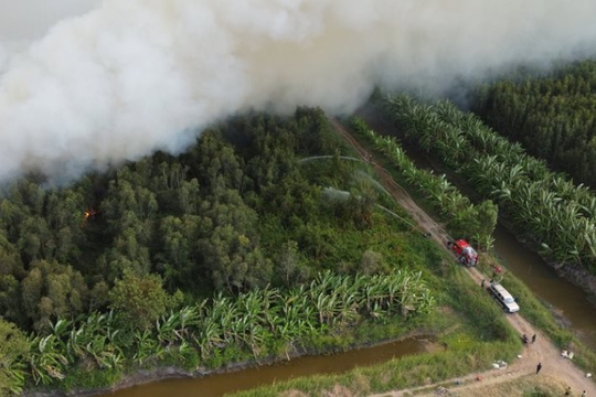 Hơn 40 ha rừng tràm ở Cà Mau bị thiêu rụi

