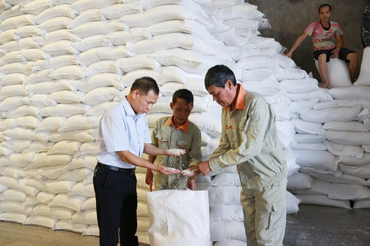 Xuất cấp gạo hỗ trợ nhân dân tại 2 địa phương dịp giáp hạt đầu năm 2024