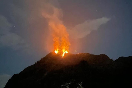 Bà Rịa - Vũng Tàu: Cháy hơn 3.000m2 rừng tại núi Dinh