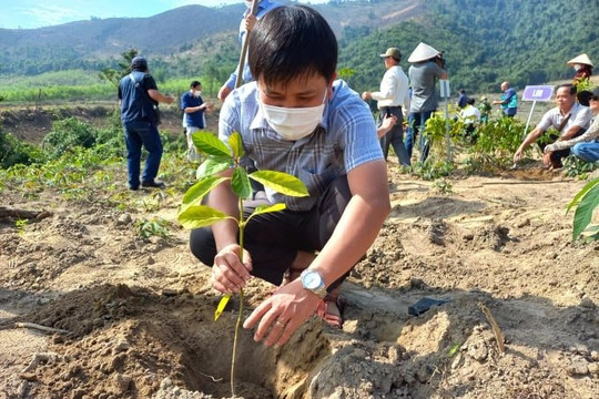 TP Đồng Hới (Quảng Bình) tích cực trồng cây, bảo vệ rừng 
