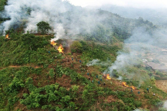 Bắc Giang tăng cường biện pháp phòng cháy, chữa cháy rừng