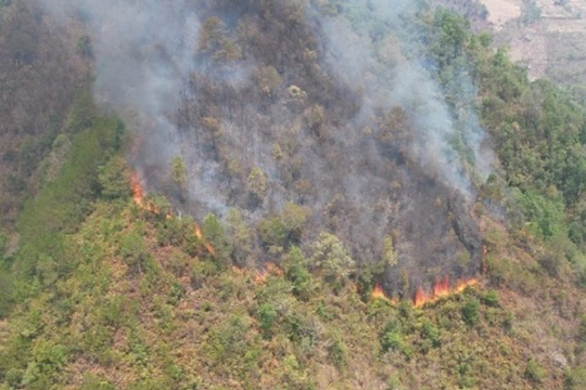 Điện Biên cảnh báo cháy rừng cấp cực kỳ nguy hiểm
