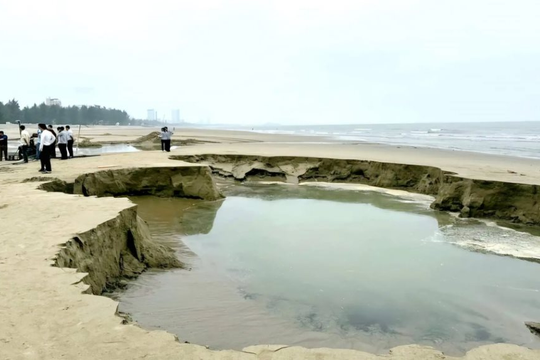 Nghệ An: Phát hiện công ty xây dựng khai thác cát biển trái phép để thi công bờ kè
