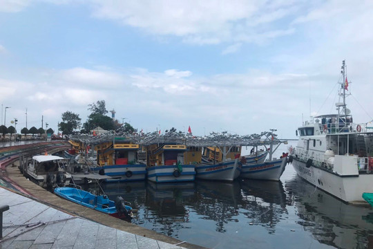 Kiên Giang: Chống khai thác IUU, 100% tàu cá được đăng ký, lắp thiết bị hành trình