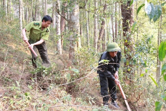 Yên Bái: Gần 6.400 hộ dân huyện Trạm Tấu ký cam kết bảo vệ rừng