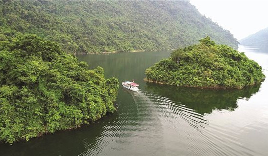 Tuyên Quang: Phê duyệt Đề án du lịch sinh thái rừng phòng hộ Na Hang