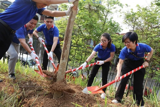 Chiến dịch trồng hàng nghìn cây hoa ban tri ân mảnh đất Điện Biên Phủ