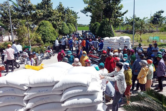 Xuất cấp hơn 746 tấn gạo dự trữ quốc gia hỗ trợ nhân dân Bắc Kạn, Điện Biên dịp giáp hạt