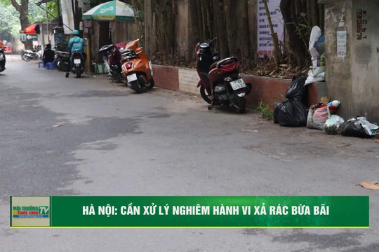 Hà Nội: Cần xử lý nghiêm hành vi xả rác bừa bãi
