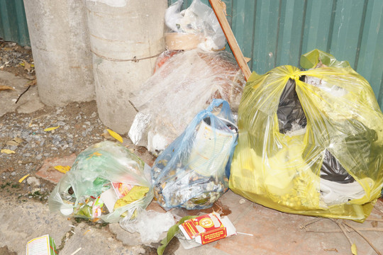 Hà Nội: Cần xử lý nghiêm hành vi xả rác bừa bãi
