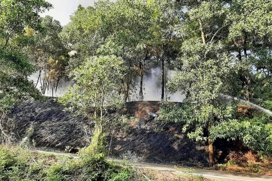 Hà Nội chỉ đạo chủ động ứng phó nguy cơ cháy rừng trong mùa nắng nóng