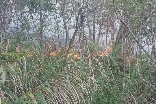 Hà Giang: 10ha rừng Tây Côn Lĩnh bốc cháy trong đêm