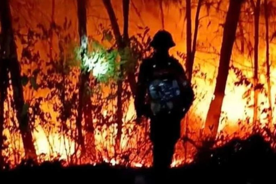 Thủ tướng chỉ đạo triển khai quyết liệt các biện pháp phòng, chống cháy rừng