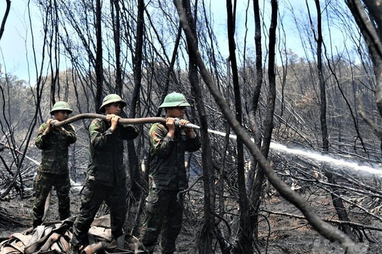 Kiên Giang: Hơn 370ha rừng bị cháy