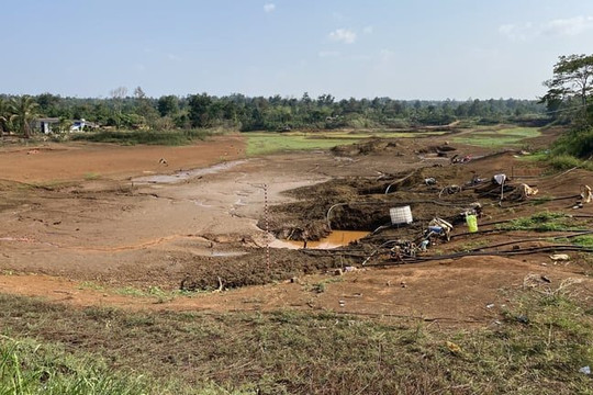 Gần 31.000ha cây trồng ở Đắk Nông đứng trước nguy cơ bị khô hạn