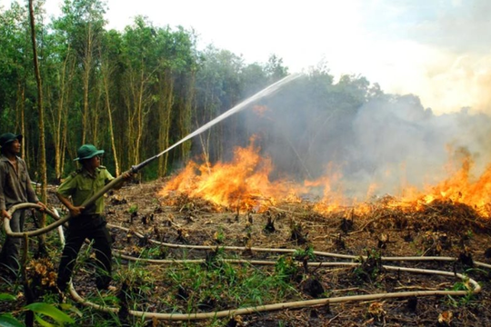 Hậu Giang nâng cảnh báo nguy cơ cháy rừng lên cấp cực kỳ nguy hiểm
