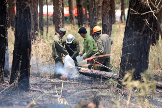 Lâm Đồng: Tăng cường các biện pháp cấp bách phòng cháy, chữa cháy rừng