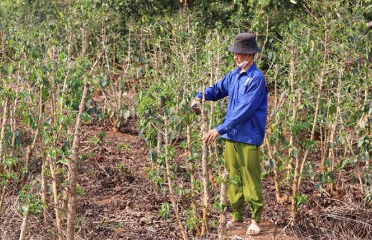Công nghệ tưới nước tiết kiệm giúp nông dân Sơn La ứng phó với khô hạn
