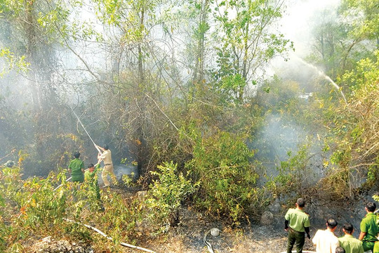 Đà Nẵng đồng bộ các giải pháp bảo vệ rừng mùa nắng nóng