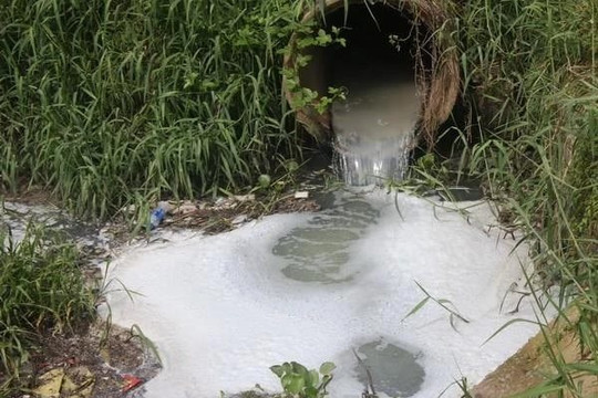 Tây Ninh xử phạt hàng loạt doanh nghiệp xả thải gây ô nhiễm môi trường