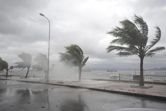 Có bao nhiêu cơn bão tác động đến Việt Nam từ nay đến cuối năm 2024?