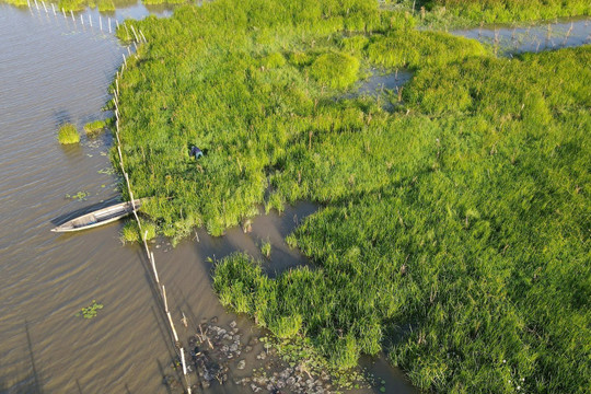 Quảng Nam xây dựng dự án thành lập khu bảo tồn đất ngập nước hồ Sông Đầm
