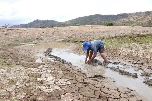 Ninh Thuận thành lập tổ công tác ứng phó tình hình hạn hán, thiếu nước sinh hoạt