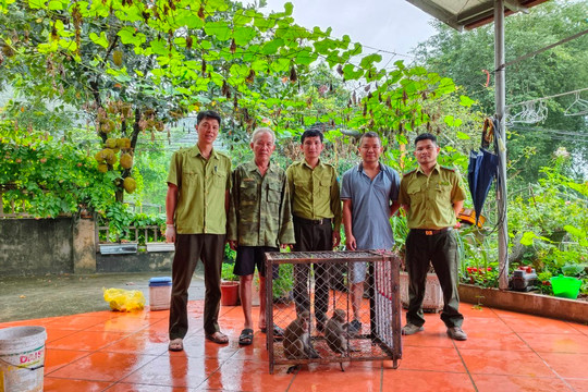 Lào Cai: Bàn giao 2 cá thể khỉ cho Trung tâm Cứu hộ, bảo tồn và Phát triển sinh vật Hoàng Liên