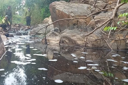 Đồng Nai: Tìm ra nguyên nhân khiến nguồn nước ở dòng suối Mã Đà ô nhiễm 