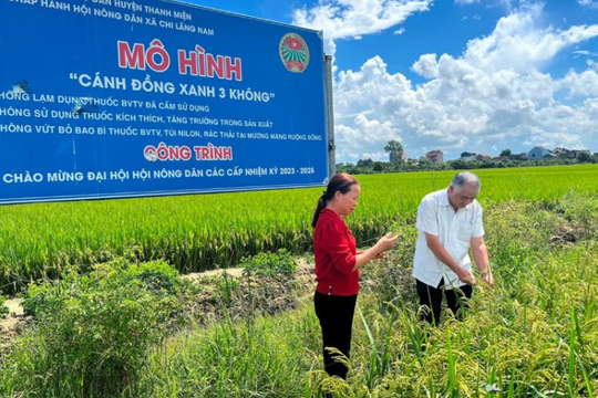 Hải Dương: Huyện Thanh Miện xây dựng thành công 6 mô hình cánh đồng không rác thải