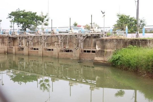 Đà Nẵng: Độ mặn nước sông Cẩm Lệ tăng cao